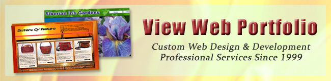 Syracuse Website Design and Development